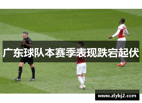 广东球队本赛季表现跌宕起伏